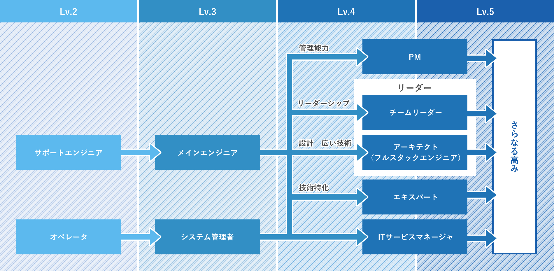 能力や適性に合わせた様々なキャリアマップ